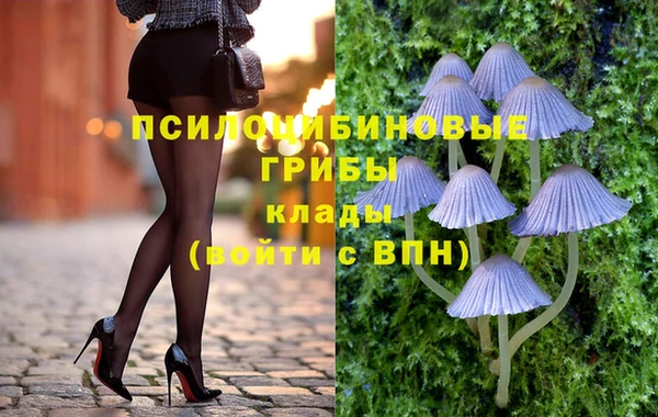 a pvp Арсеньев