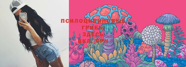 молекула духа Аркадак