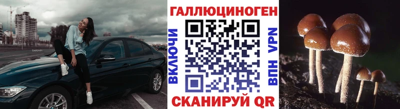 kraken маркетплейс  Зерноград  Галлюциногенные грибы Psilocybine cubensis 